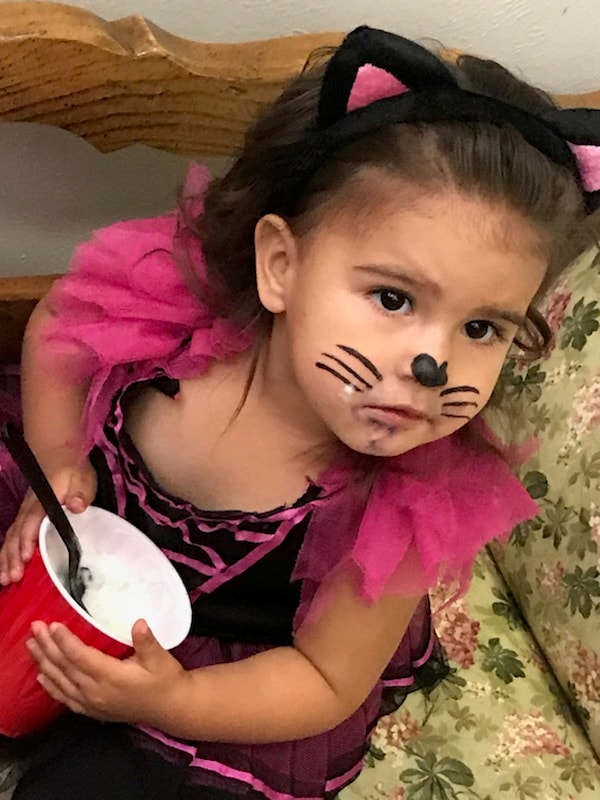 assisted living albuquerque halloween kitty cat